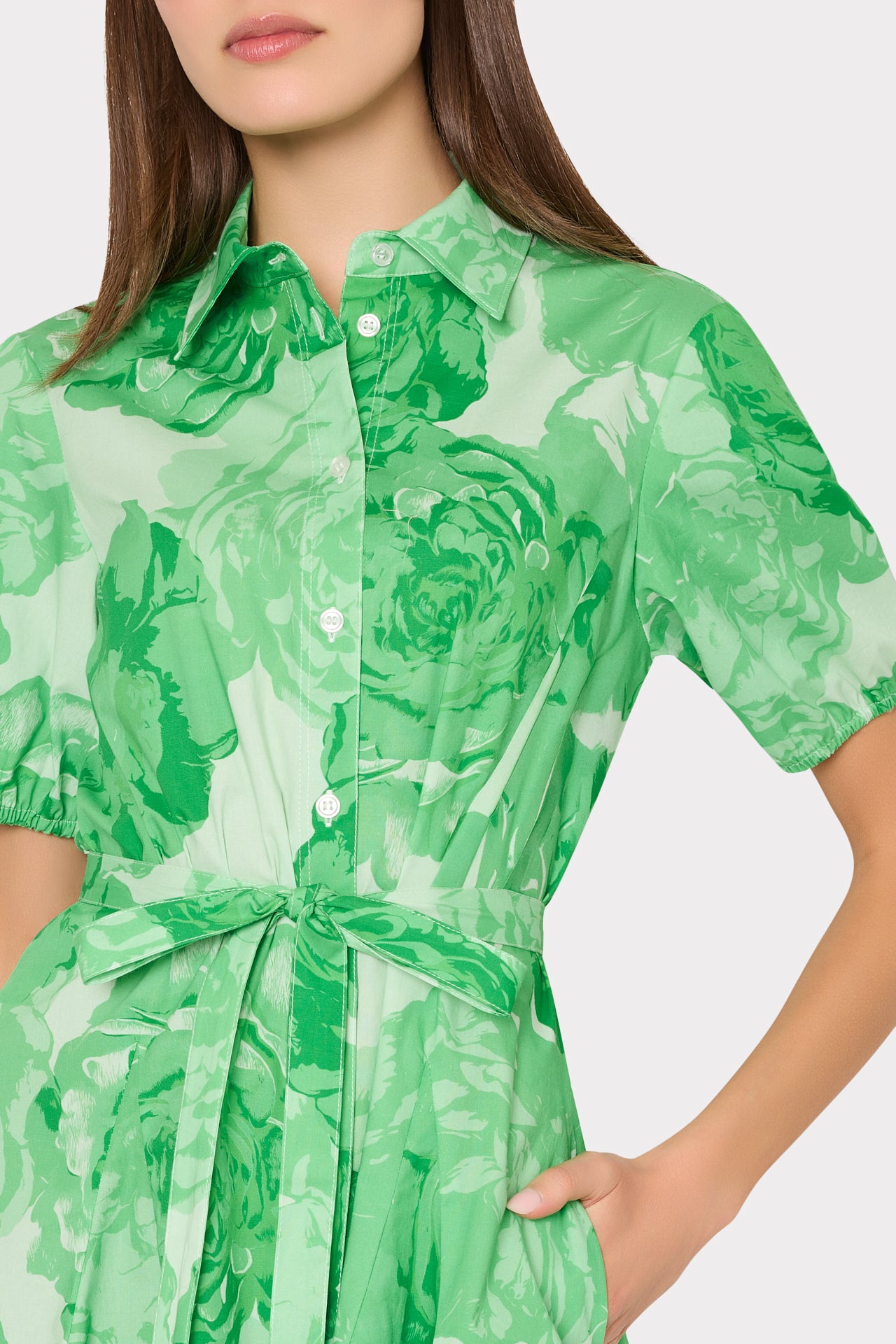 Juni Printed Poplin Dress in Green/White