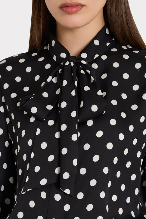 Tie Neck Polka Dot Blouse