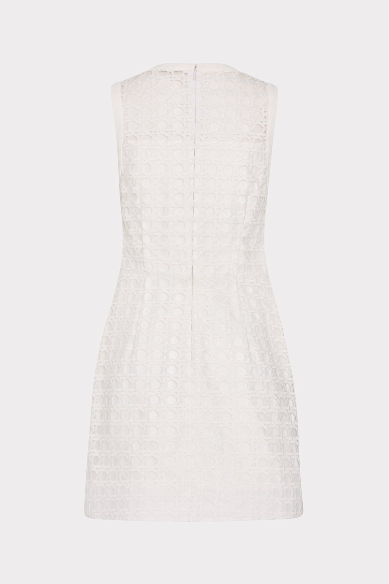 Moira Lace Mini Dress in White