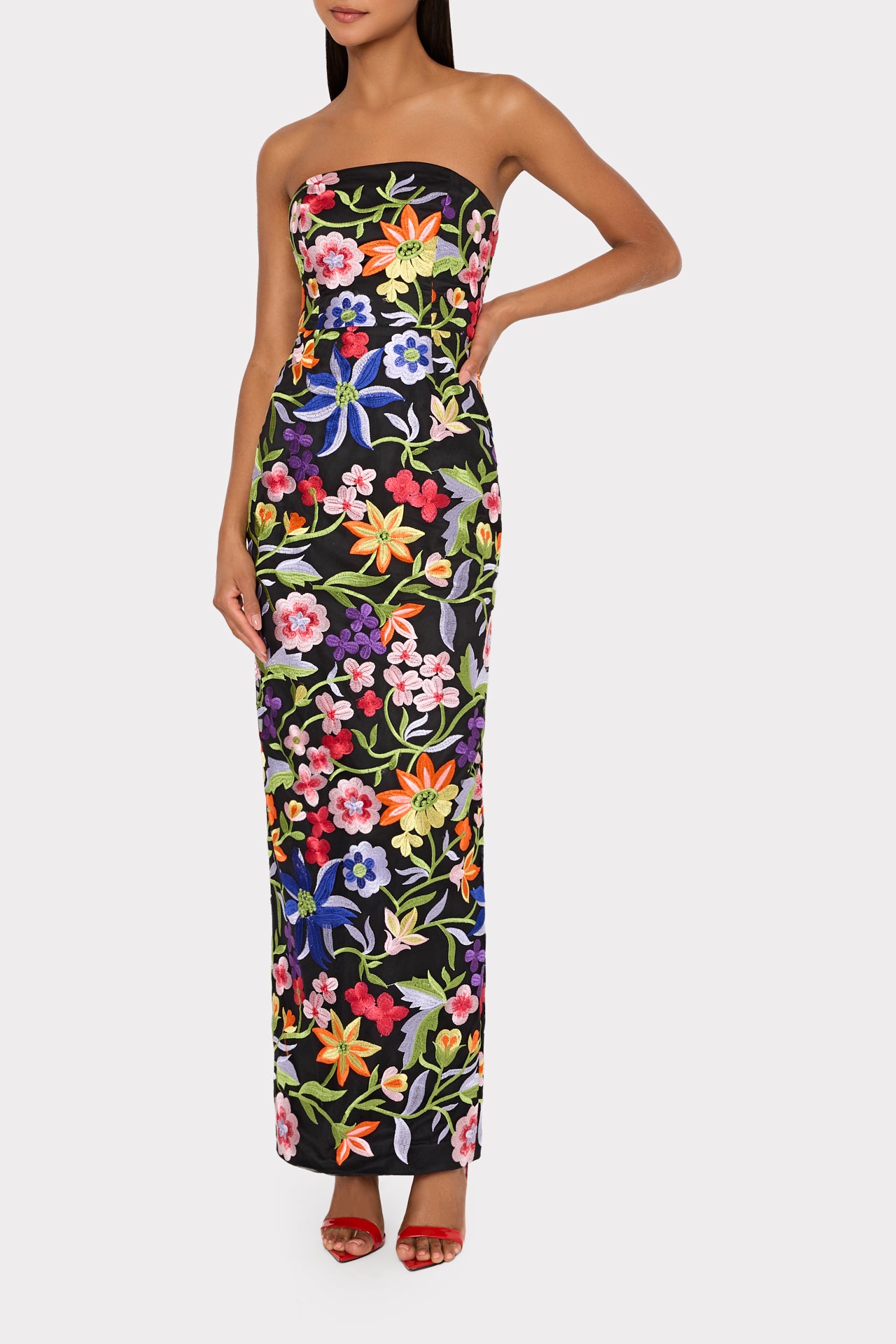 Magnolia Mesh Embroidery Maxi Dress in Black Multi
