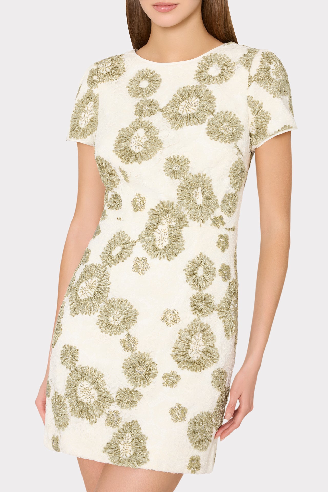 dearly embroidered mini dress Daisy Embroidered Mini Dress in White/Green
