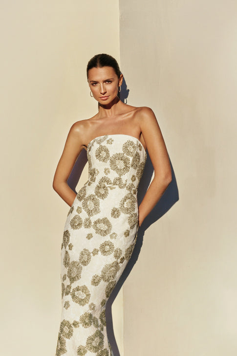 Jasmine Embroidered Lace Dress