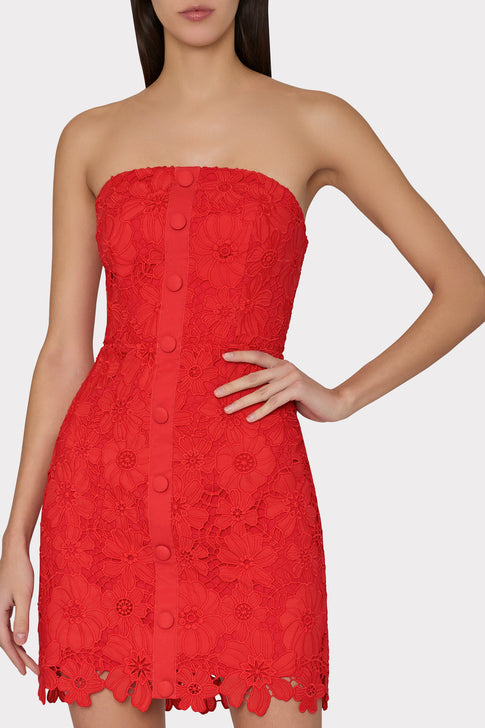 Roja Lace Mini Dress Red Image 3 of 4