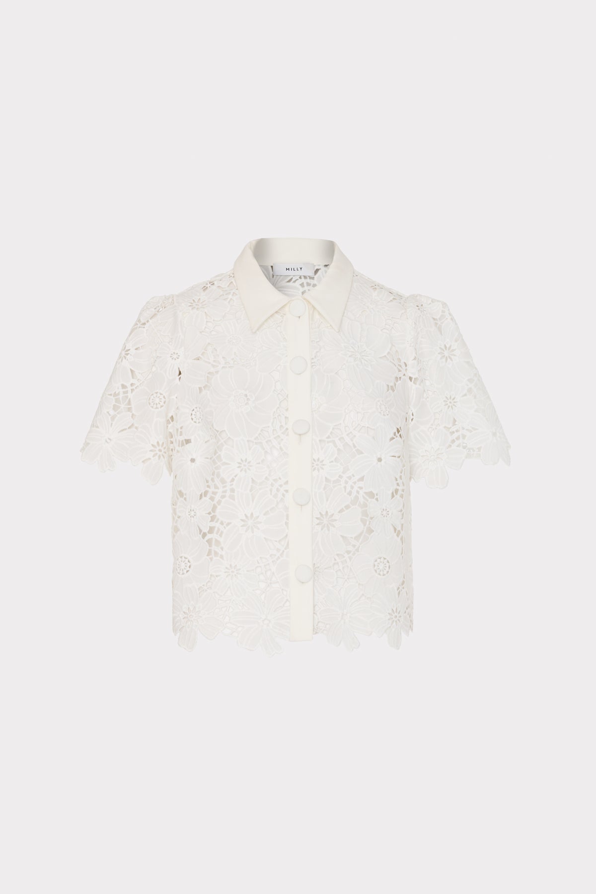 Spring 2025 Collection