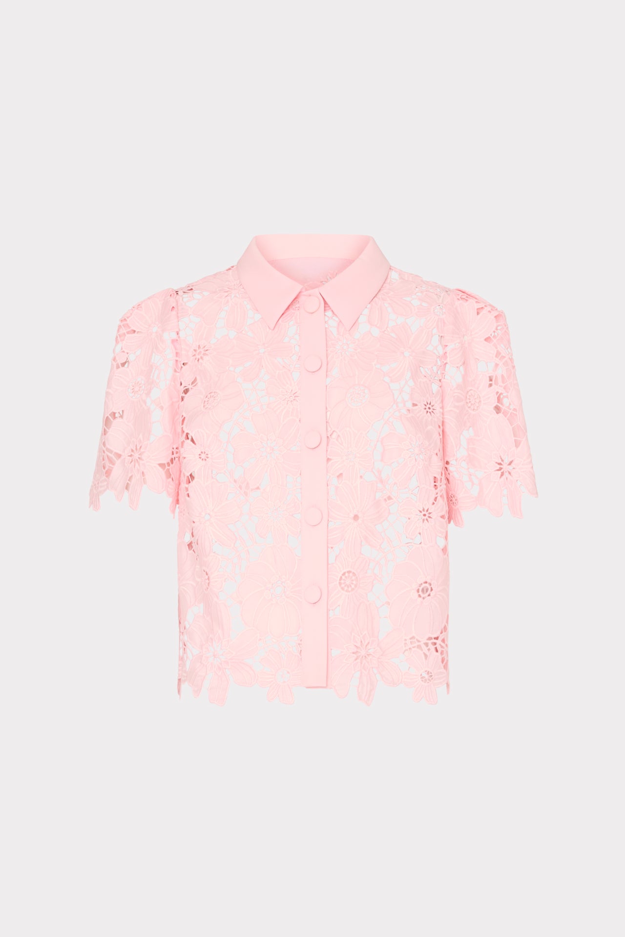 Addison Roja Lace Top in Blush | MILLY