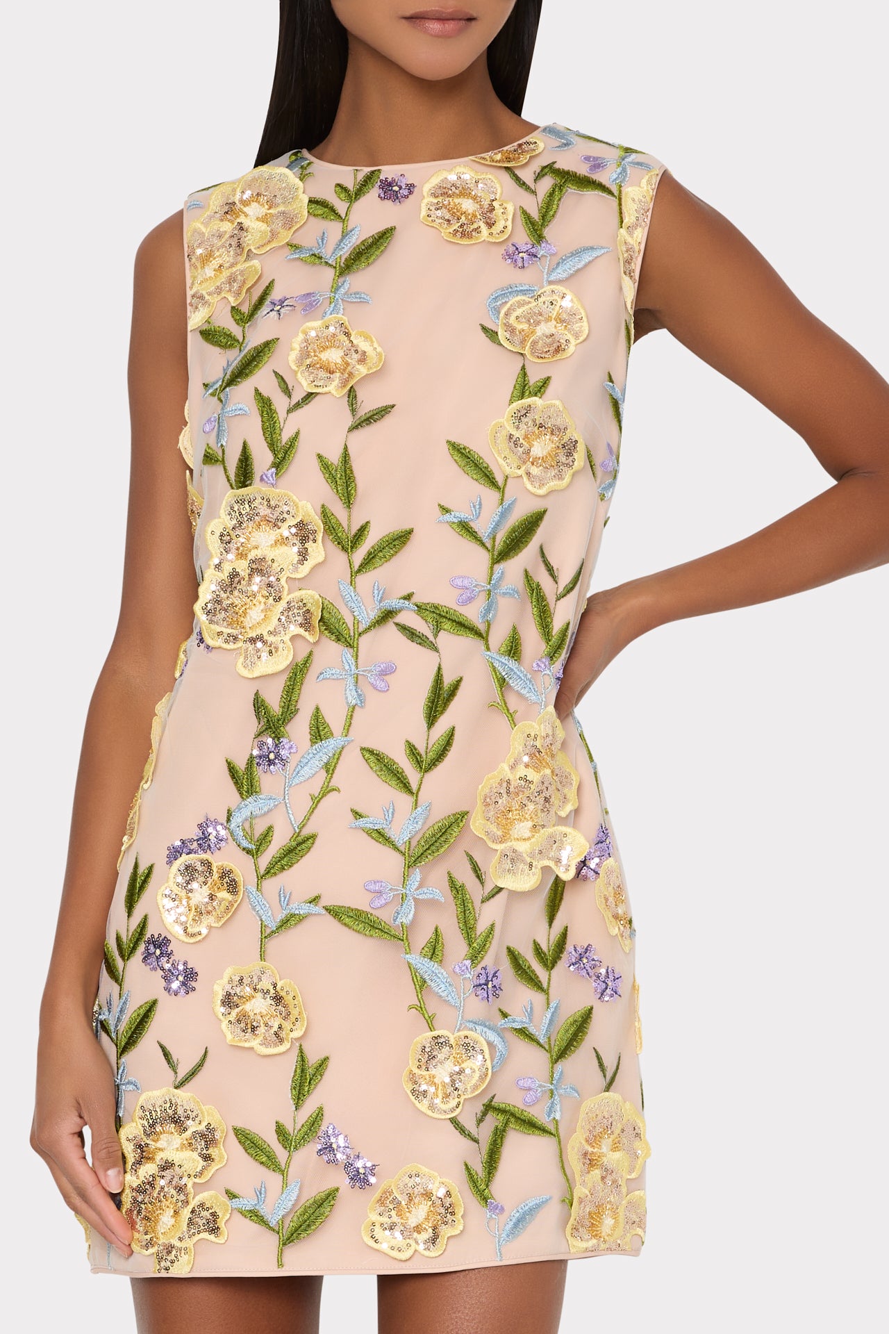 sachin and babi light blue dress Windsor Evie Sequin Floral Embroidered Mini Dress main image 1