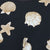 Black/White Swatch