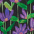 Violet Multi Swatch