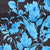 Black/Blue Swatch