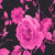 Black/Pink Swatch