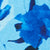 Blue Multi Swatch