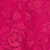 Raspberry Swatch