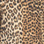 Brown Swatch