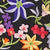 Black Multi Swatch