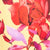 Lemon/Red Swatch