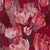 Red Multi Swatch