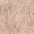 Champagne Swatch