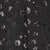 Black Swatch
