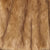 Light Brown Swatch