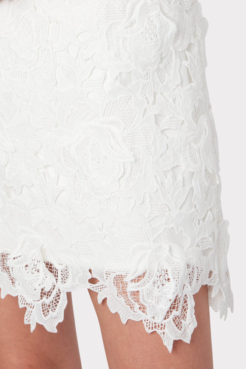 Atalie 3D Floral Lace Dress